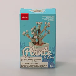 Costruzione - Pianta Grassa