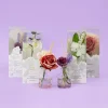 Floral Diffuser - Rosa (100Ml)