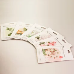 Premium Botanica Facial Mask - Glowing